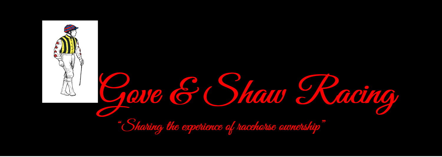 Gove & Shaw Racing logo